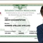 Cómo descargar CURP certificada gratis paso a paso en México