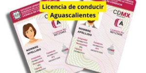 Licencia de conducir Aguascalientes