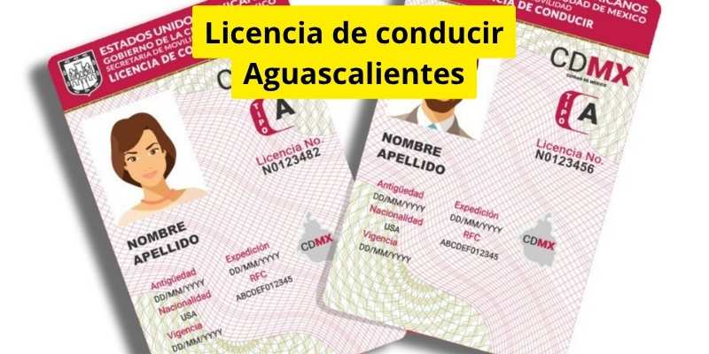 Licencia de conducir Aguascalientes