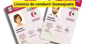 Licencia de conducir Guanajuato