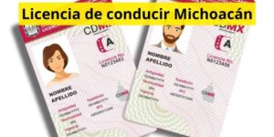 Licencia de conducir Michoacán