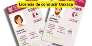 Licencia de conducir Oaxaca