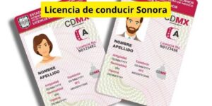 Licencia de conducir Sonora