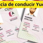 Licencia de conducir Yucatán: requisitos, costos y cómo tramitarla 2026