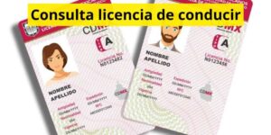 Consulta licencia de conducir
