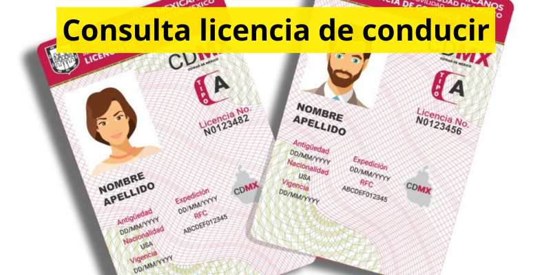 Consulta licencia de conducir