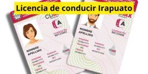 Licencia de conducir Irapuato