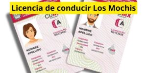 Licencia de conducir Los Mochis