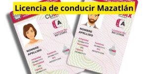 Licencia de conducir Mazatlán