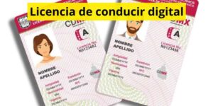 Licencia de conducir digital