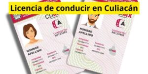 Licencia de conducir en Culiacán