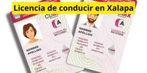 Licencia de conducir en Xalapa
