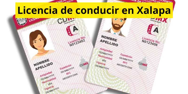 Licencia de conducir en Xalapa