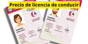 Precio de licencia de conducir
