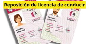 Reposición de licencia de conducir