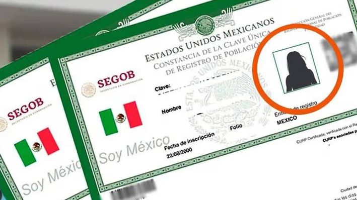 Por qué no puedo descargar mi CURP