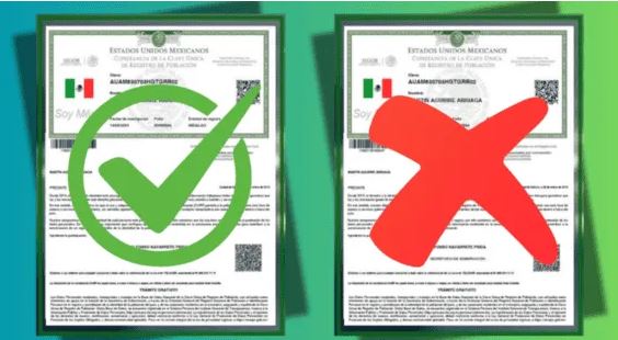 Por qué mi CURP no está certificada