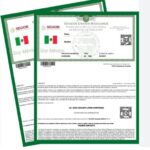 ¿Por qué no puedo descargar mi CURP? Causas, soluciones y qué hacer paso a paso