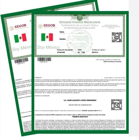 ¿Por qué no puedo descargar mi CURP?