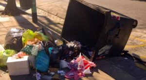 Multa por Tirar Basura en la Calle