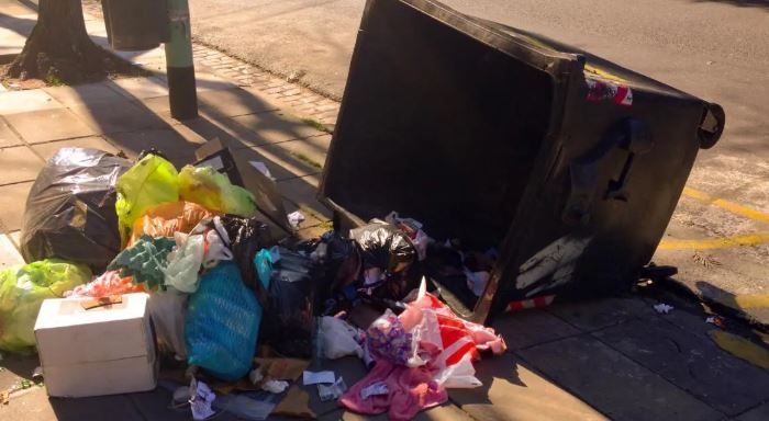 Multa por Tirar Basura en la Calle